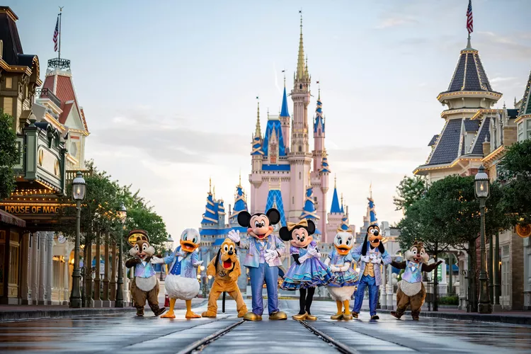 Professional Orlando to Disney Transportation driver